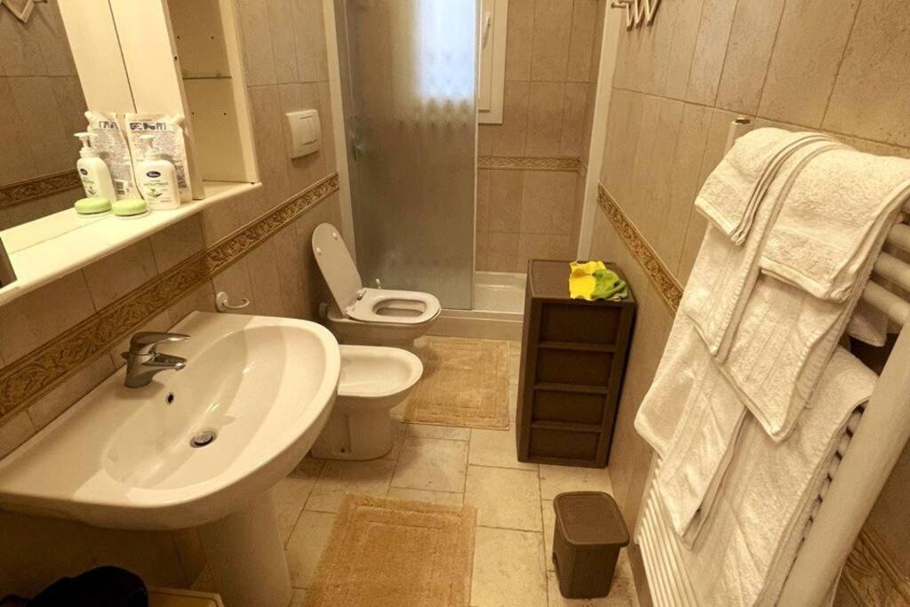 Apartment S.elena